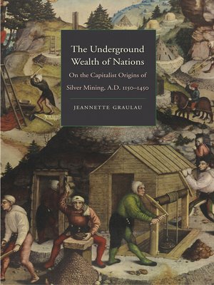 cover image of The Underground Wealth of Nations